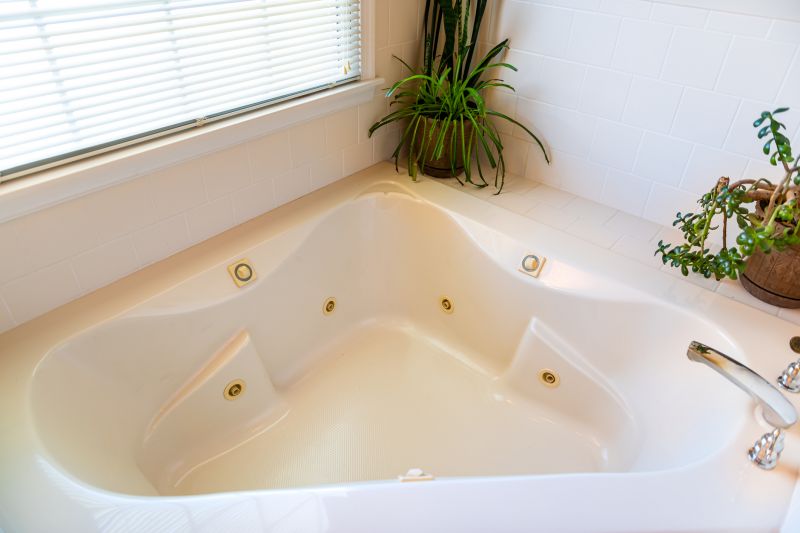 Elegant Bathtub Installations